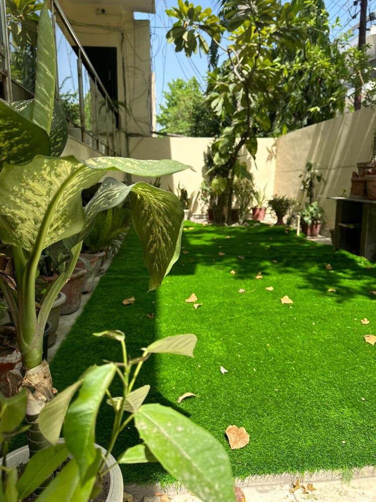 Garden, rwa-apartments-sector-39 3 Bedroom 350 Sq.Mt. Independent House In Sector 39 Noida 8730444