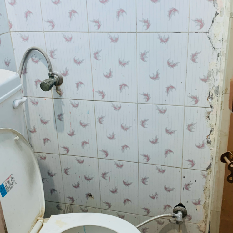 Bathroom, baltana 2.5 Bedroom 800 Sq.Ft. Independent House In Baltana Zirakpur 8730503