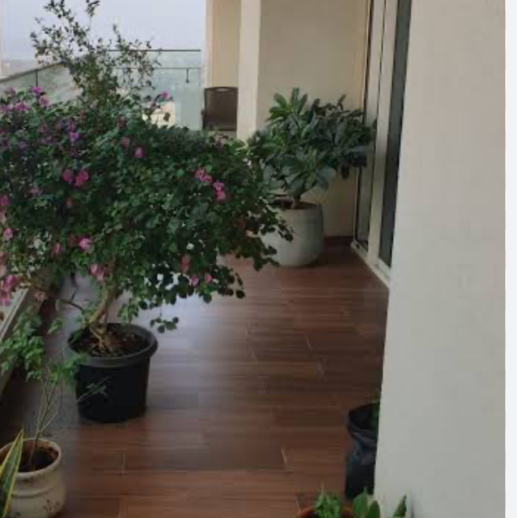 Balcony, chirag-bhagat-grandeur 2 Bedroom 780 Sq.Ft. Apartment In Ekta Nagar Mumbai 8730539