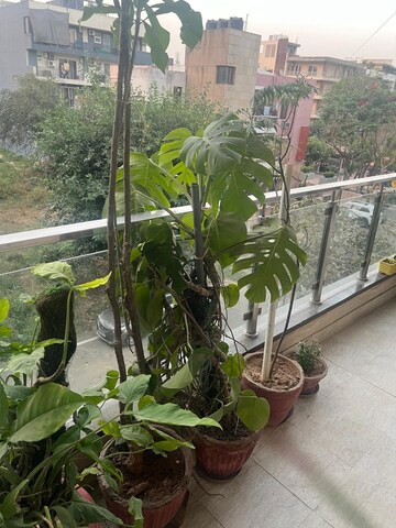 Balcony in 3 BHK Builder Floor at SS Southend Floors, South City 2 – for Rent