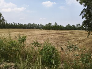  Land For Sale in Meenapur