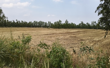 Land For Sale in Meenapur