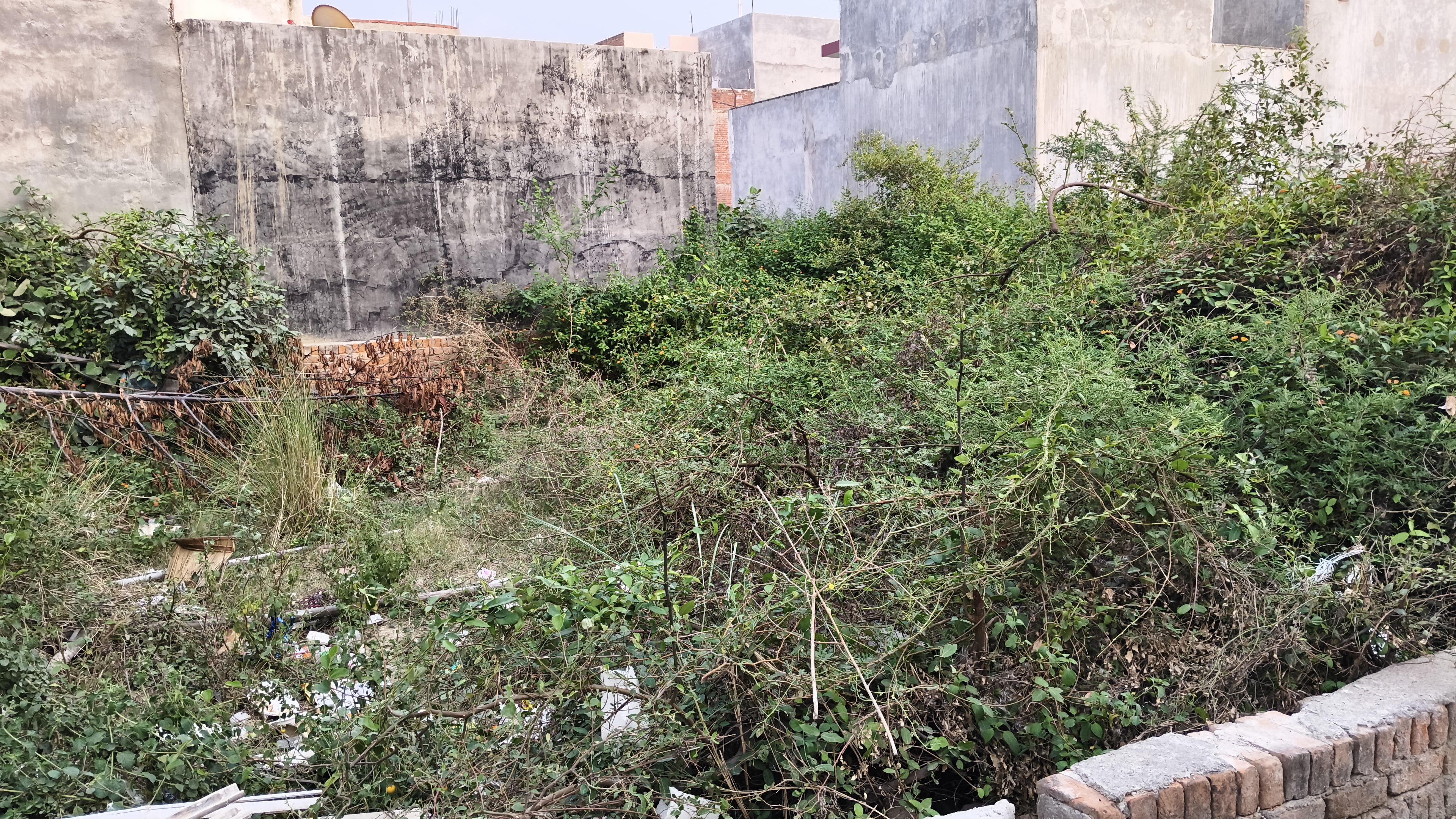 Plot For Sale in Ayodhapuri 