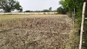  Land For Sale in Nigohan