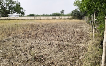 Land For Sale in Nigohan