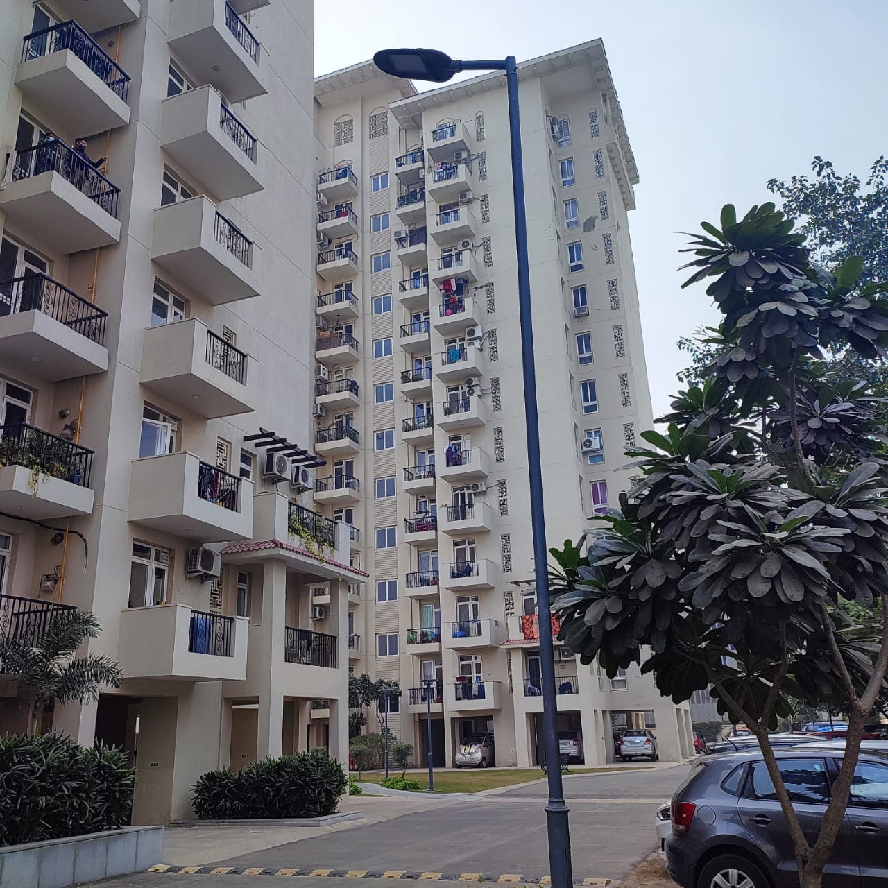2 BHK + Study Room Apartment For Rent in Emaar Emerald Estate