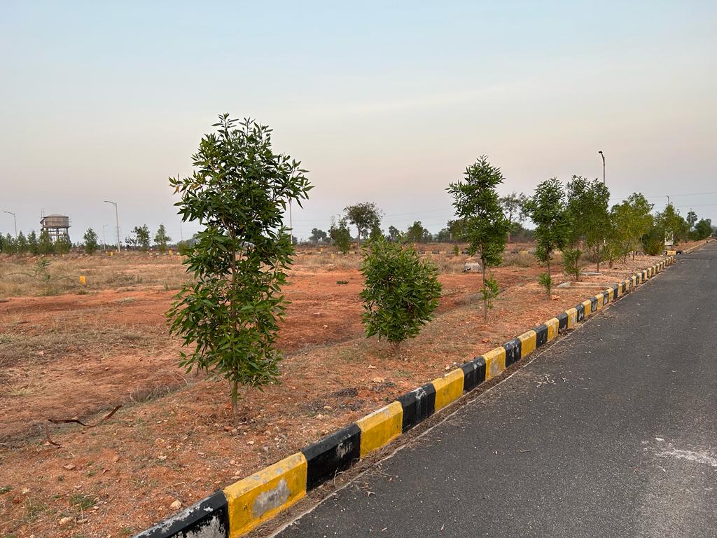 Plot For Sale in Rock Town