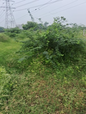  Plot – Garden View at Maruti Vihar Saraswati Vihar, Saraswati Vihar - for Sale