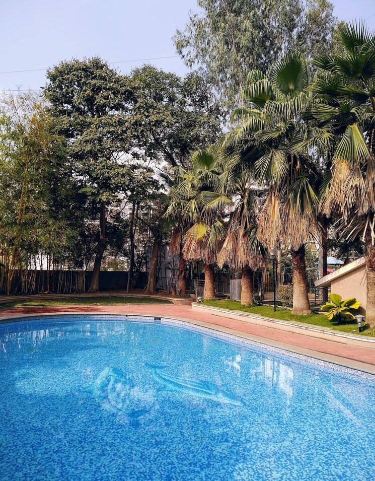 Swimming Pool, smr-vinay-hi-lands 2 Bedroom 1400 Sq.Ft. Apartment In Miyapur Hyderabad 8731092