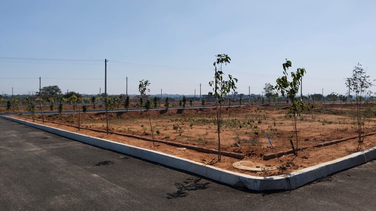 undefined, shadnagar  250 Sq.Yd. Plot In Shadnagar Hyderabad 8731177