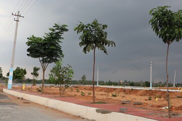 Plot Area in  Plot at Shadnagar – for Sale