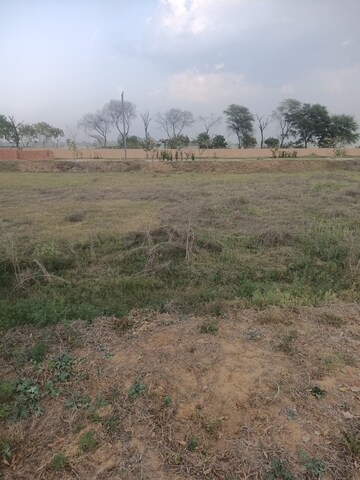 Plot Area in  Plot at Adore Smart City, Sector 97 – for Sale