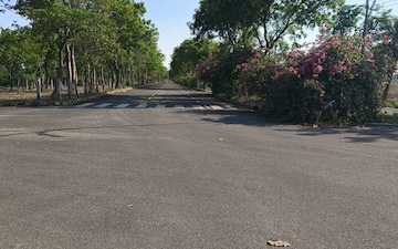 Plot For Sale in Ram Ganga Vihar
