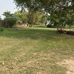 4 Acre Plot in Badli 