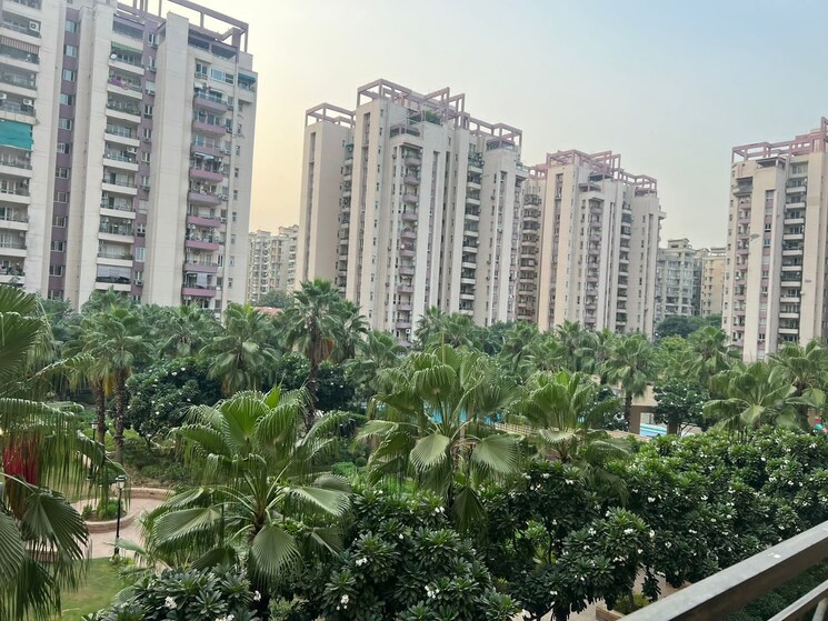 Exterior View, orchid-petals 4 Bedroom 2337 Sq.Ft. Apartment In Sector 49 Gurgaon 8731732