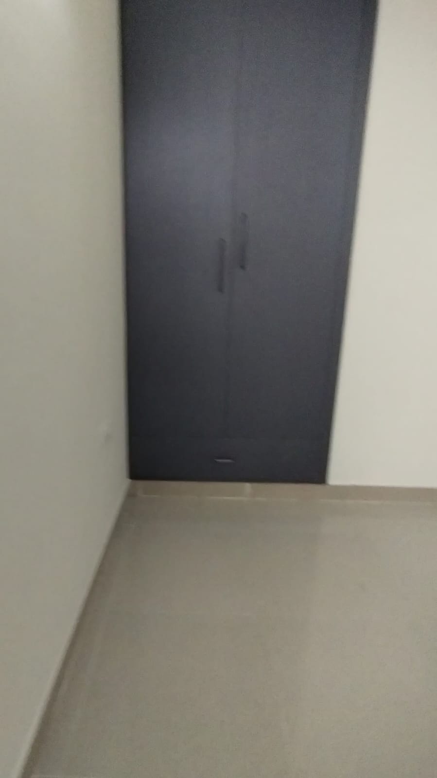 3 BHK Apartment For Rent in Amrapali Terrace Homes