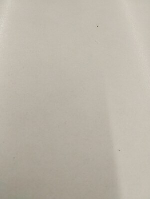 3 BHK Apartment For Sale in Urbanrise The World of Joy, Miyapur