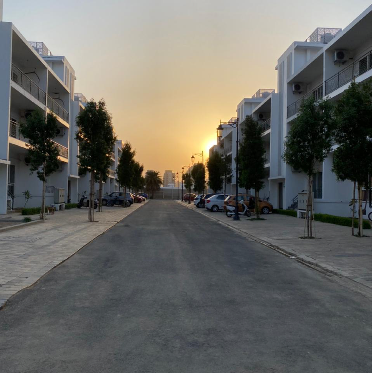 2.5 BHK + Servant Room Apartment For Rent in Central Park 3 Flower Valley