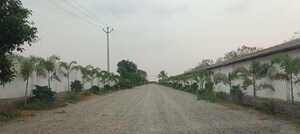  Plot – Exterior View View at Shadnagar - for Sale