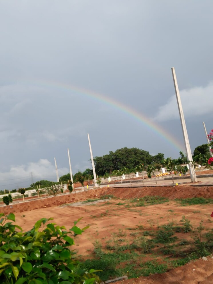 undefined, shadnagar  121 Sq.Yd. Plot In Shadnagar Hyderabad 8731772