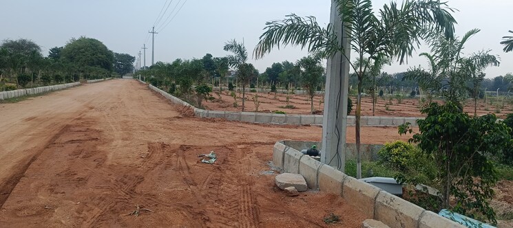 undefined, shadnagar  121 Sq.Yd. Plot In Shadnagar Hyderabad 8731772