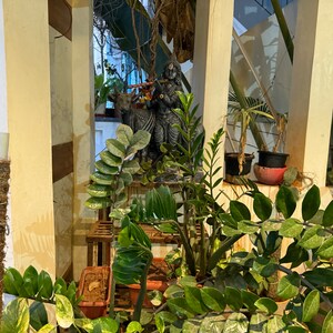 4 BHK Villa – Garden View at Safilguda - for Sale