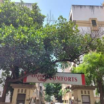 2 BHK + Extra Room 1200 Sq.Ft. Apartment in Oxford Comforts