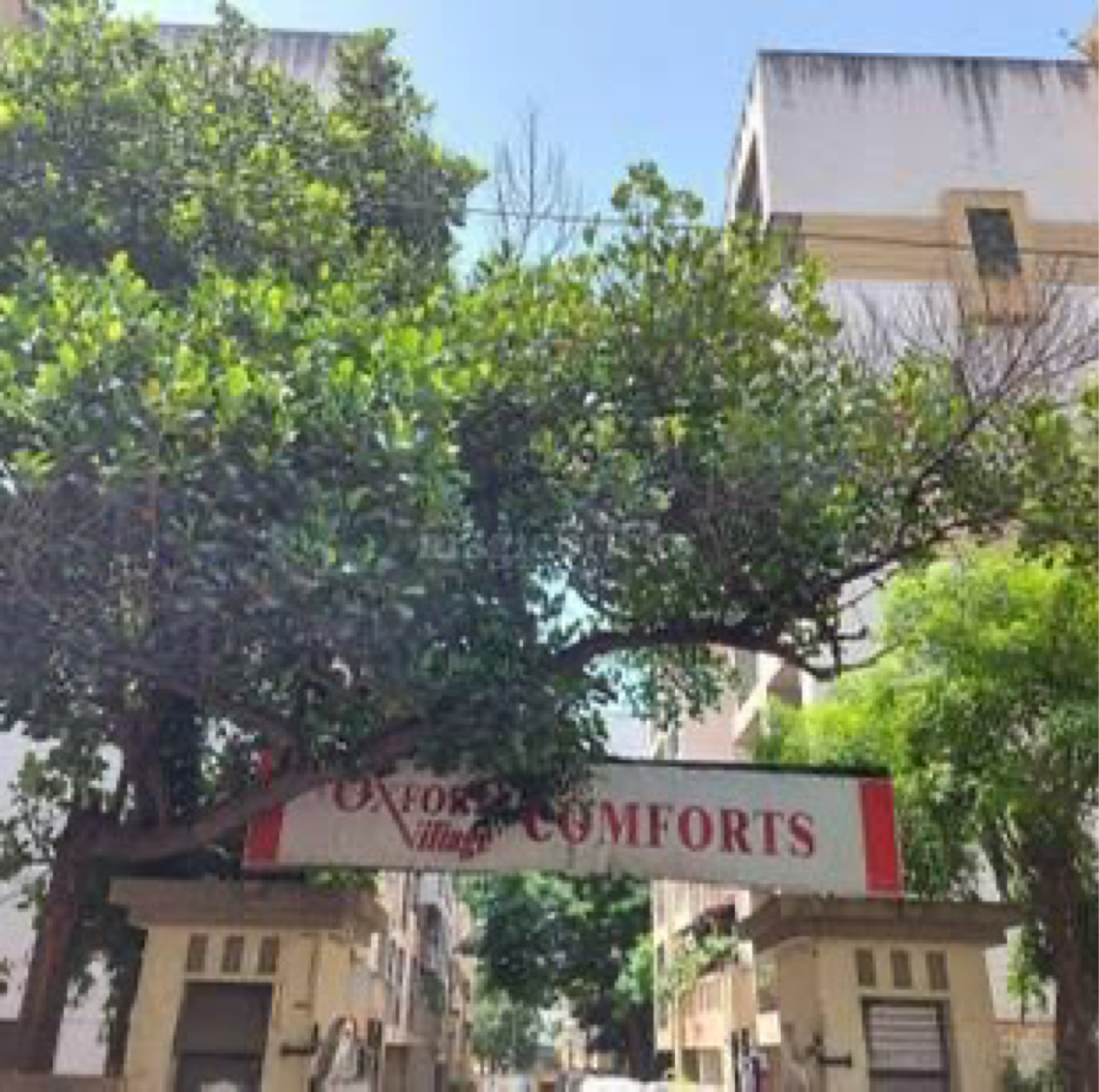 2 BHK + Extra Room Apartment For Rent in Oxford Comforts