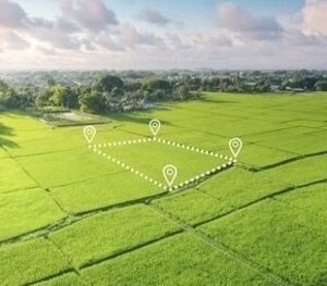  Plot For Sale in Pipla rd
