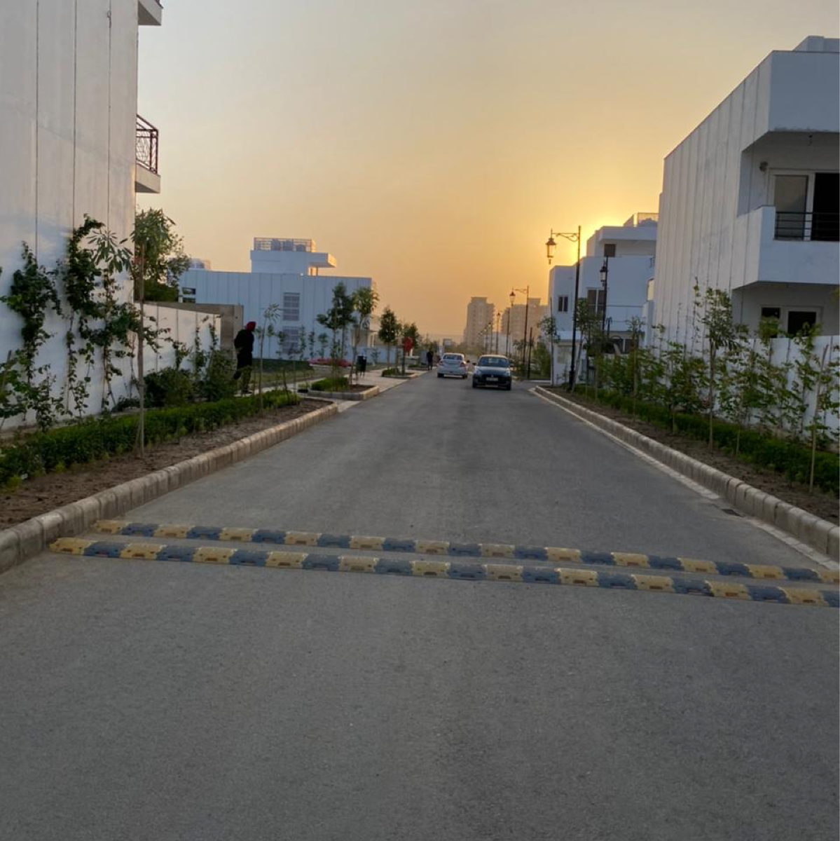 3 BHK + Extra Room Apartment For Rent in Central Park 3 Flower Valley