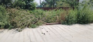 Plot Area in  Plot at Meerut Cantt – for Sale