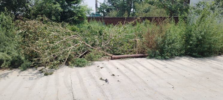 undefined, meerut cantt  350 Sq.Yd. Plot In Meerut Cantt Meerut 8731878