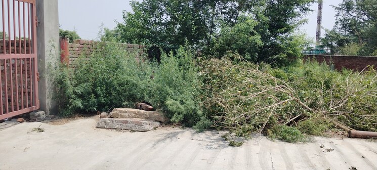 undefined, meerut cantt  350 Sq.Yd. Plot In Meerut Cantt Meerut 8731878