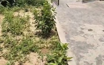 2 BHK Independent House For Rent in Prime City Greater Noida, Sector 3 Greater Noida