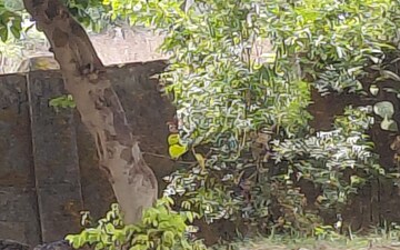 Plot For Sale in New Moradabad