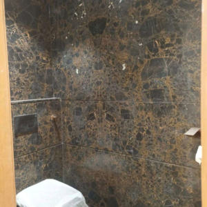 Bathroom in 4 BHK Builder Floor at Dlf Phase ii – for Sale