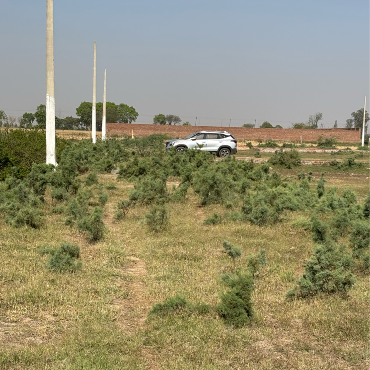 undefined, sangam vihar  120 Sq.Yd. Plot In Sangam Vihar Delhi 8732001