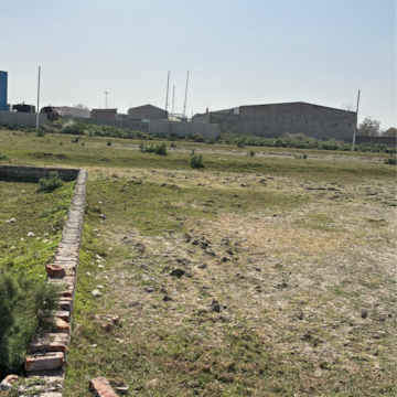 Plot Area in  Plot at Sangam Vihar – for Sale