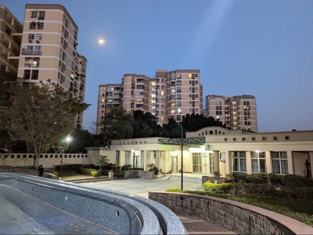 2 BHK Apartment For Rent in DLF Silver Oaks