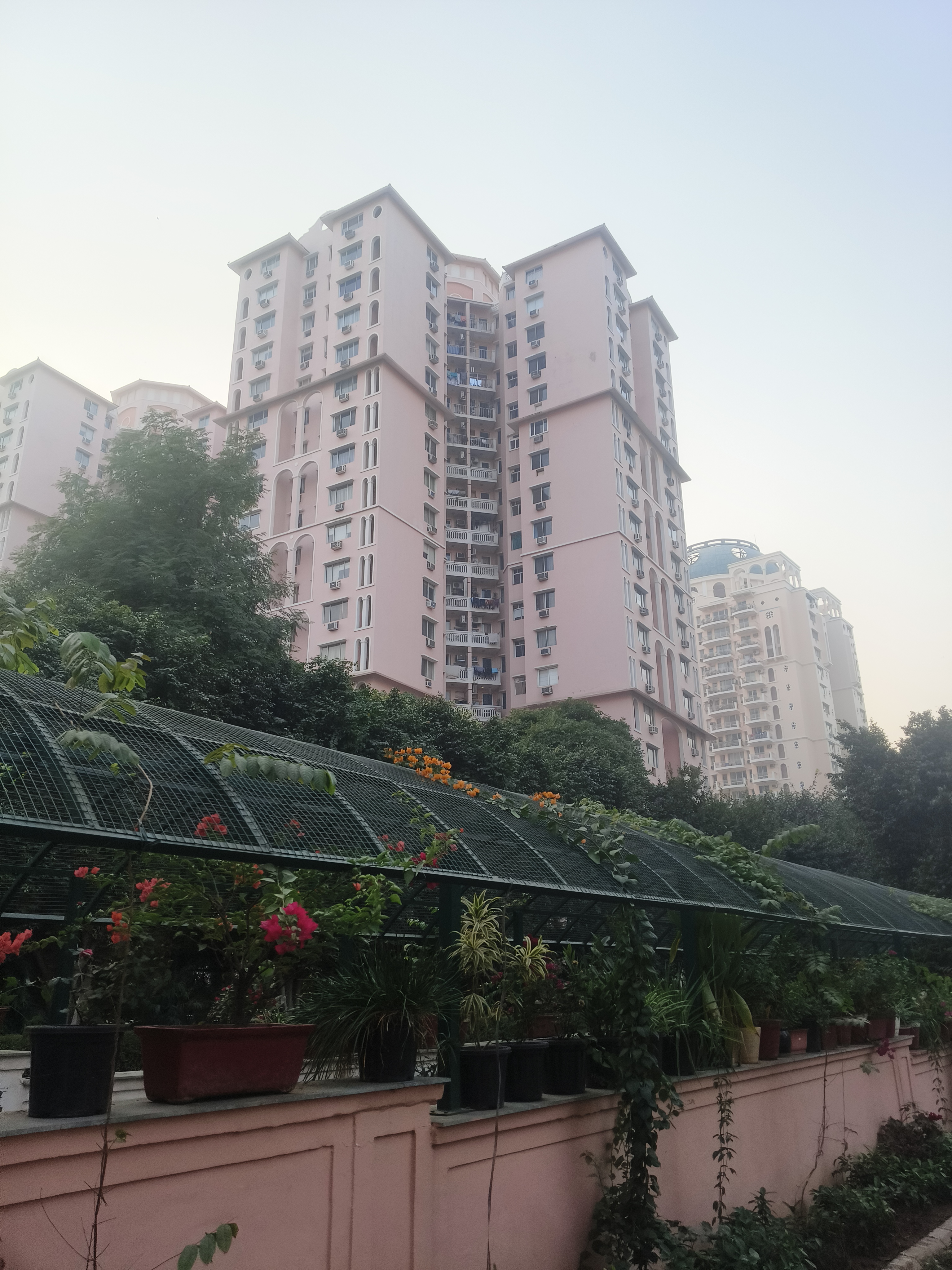 2 BHK + Study Room Apartment For Rent in DLF The Princeton Estate