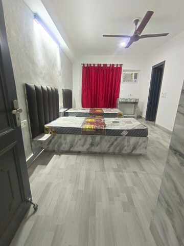3 BHK Builder Floor For Rent in Saket