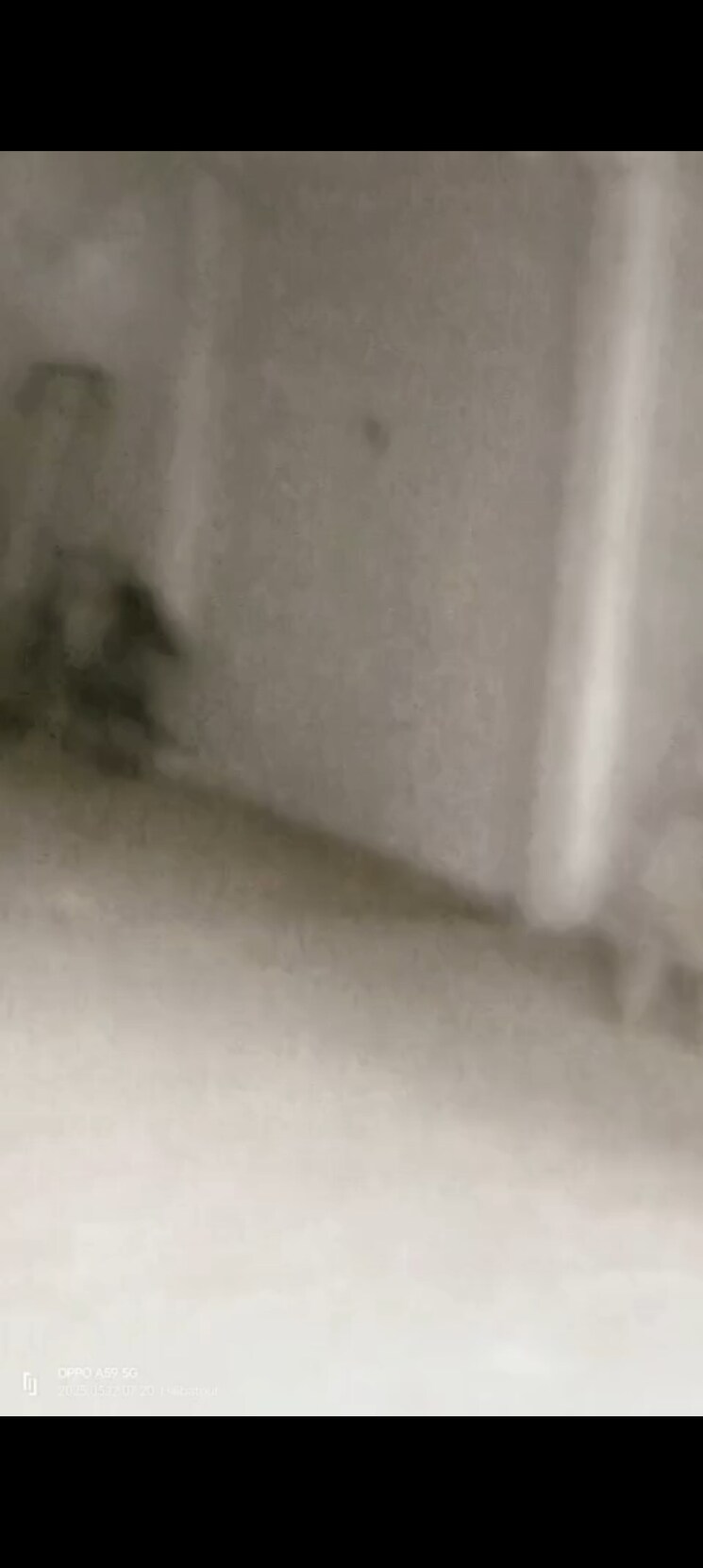 Floor Plan, maldepur Commercial Showroom 1750 Sq.Ft. In Maldepur Ballia 8733466