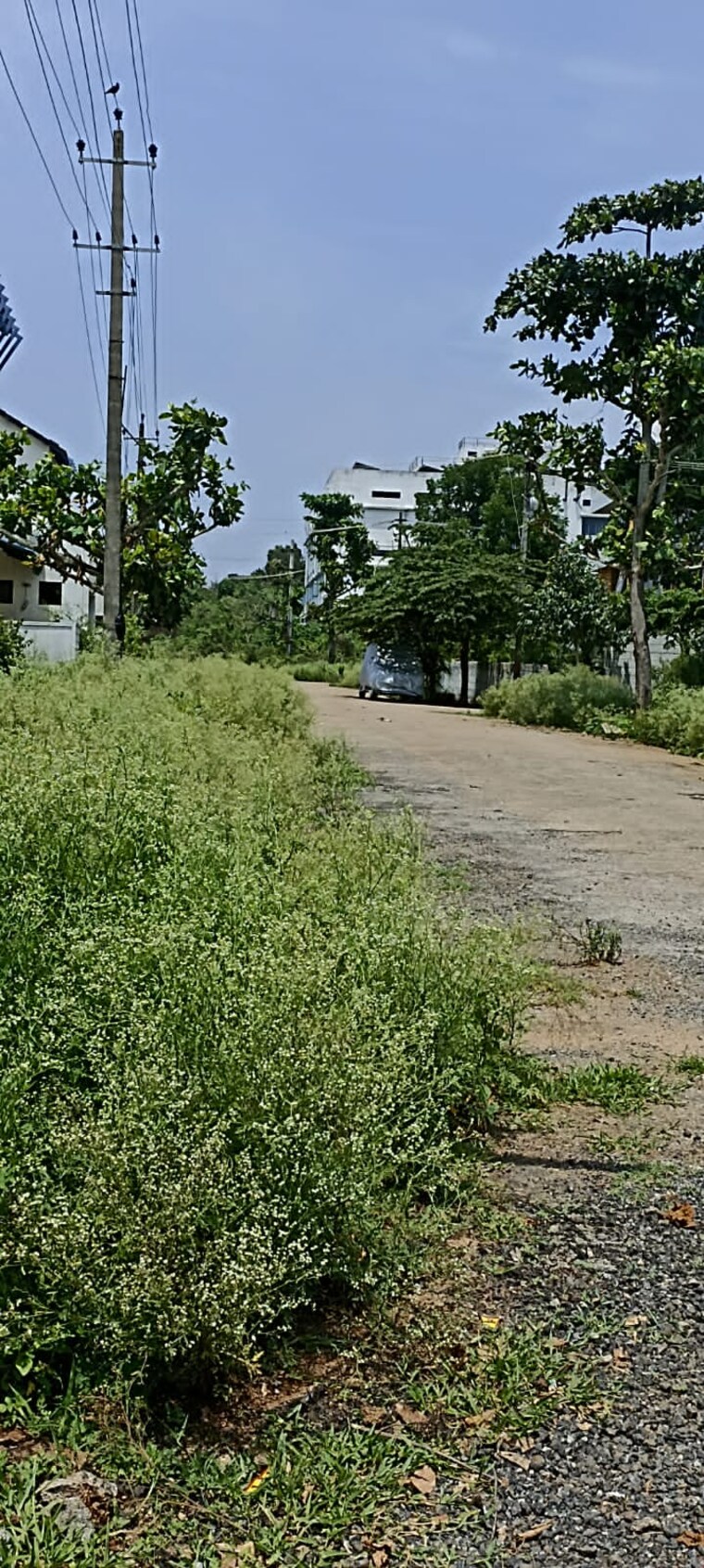 undefined, jr-green-park  1500 Sq.Yd. Plot In Hosur Road Bangalore 8733034