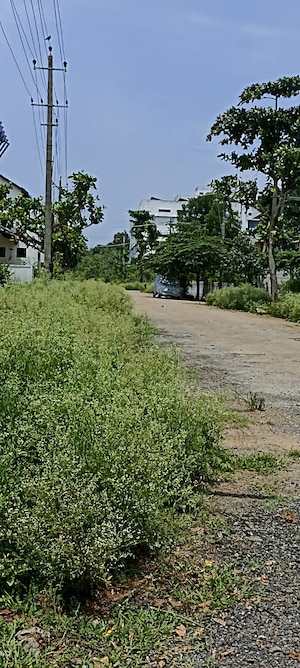 Plot Area in  Plot at Jr Green Park, Hosur Road – for Sale