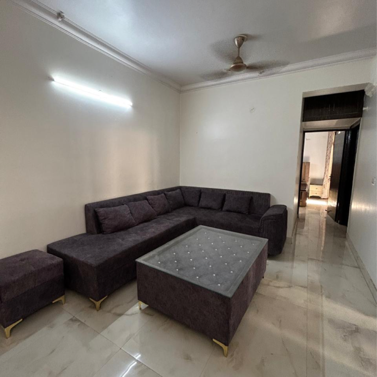 Living Room, ansal-celebrity-suites 2.5 Bedroom 1200 Sq.Ft. Apartment In Choma Gurgaon 8733386