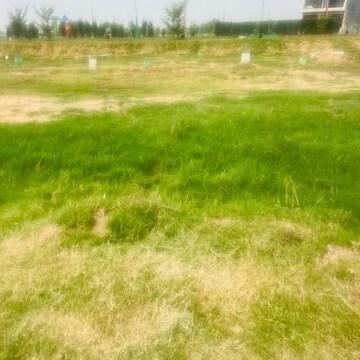  Plot For Sale in Aerocity