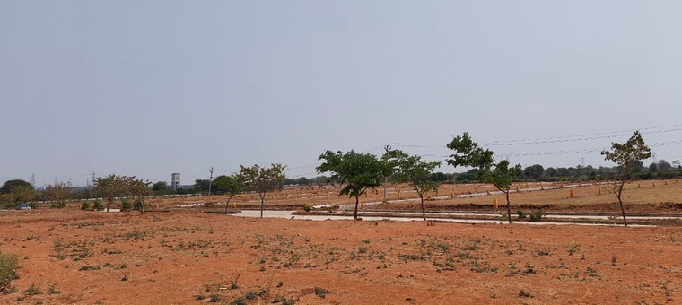 undefined, shadnagar  169 Sq.Yd. Plot In Shadnagar Hyderabad 8733662