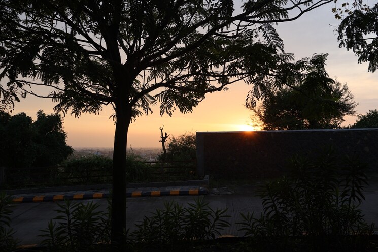 Garden, sanwer  2400 Sq.Ft. Plot In Sanwer Indore 8685764