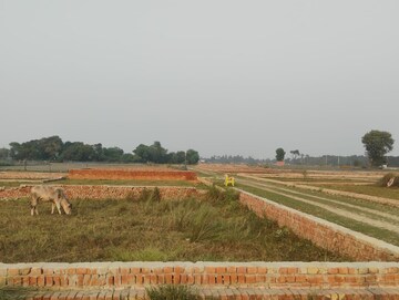 Plot Area in  Plot at Gosainganj – for Sale