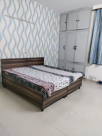 1 BHK Builder Floor For Rent in Sector 20